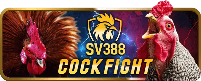 Khuyến mãi đăng ký new88bi